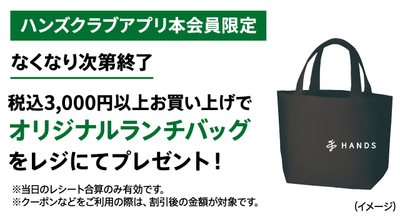 ノベルティバッグ.jpg